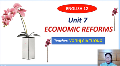 Unit 7: Economic reforms: Language focus, Supplement