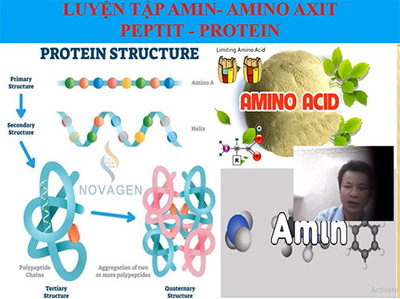 Bài 12 : Luyện tập: amin, amino axit và protein