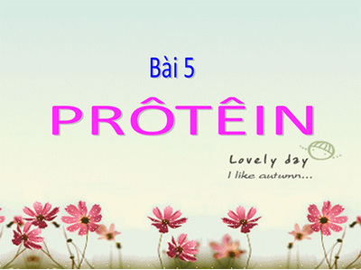 Bài 5: Protein.